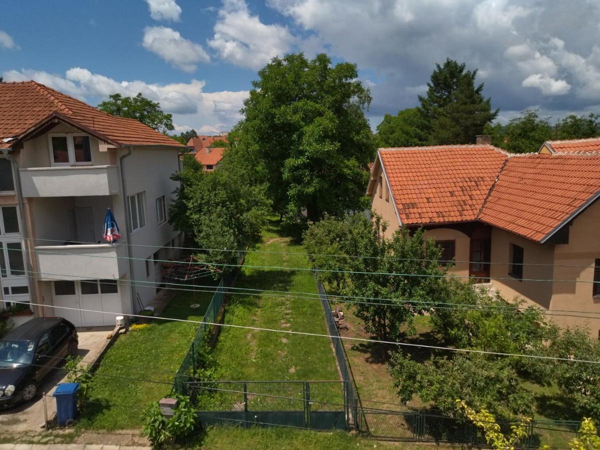 Vila Lenka Sokobanja Zewnętrze zdjęcie