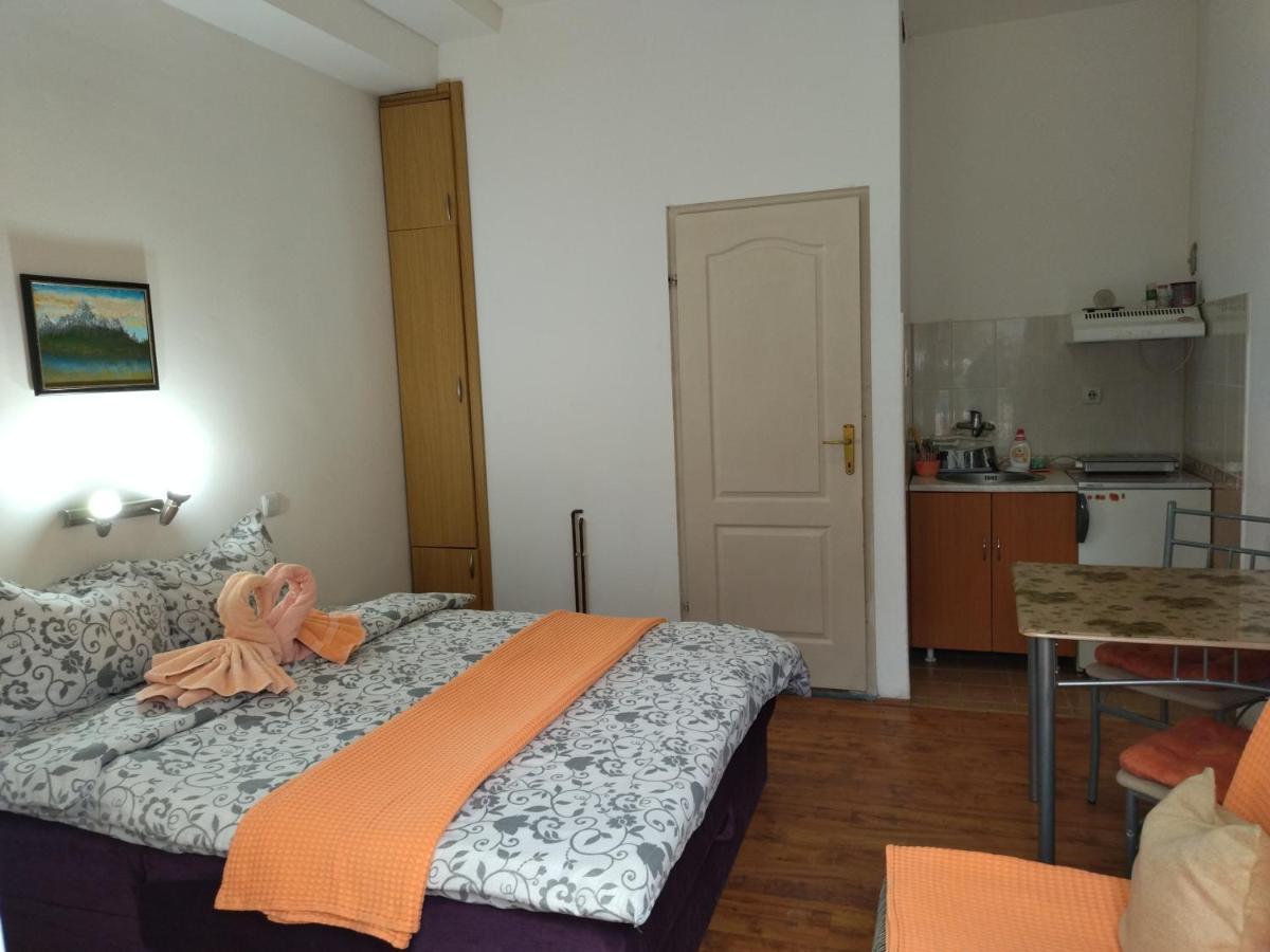 Vila Lenka Sokobanja Zewnętrze zdjęcie
