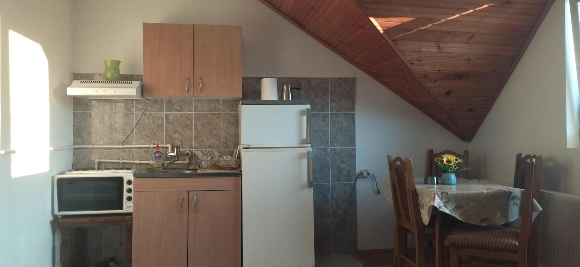 Vila Lenka Sokobanja Pokój zdjęcie