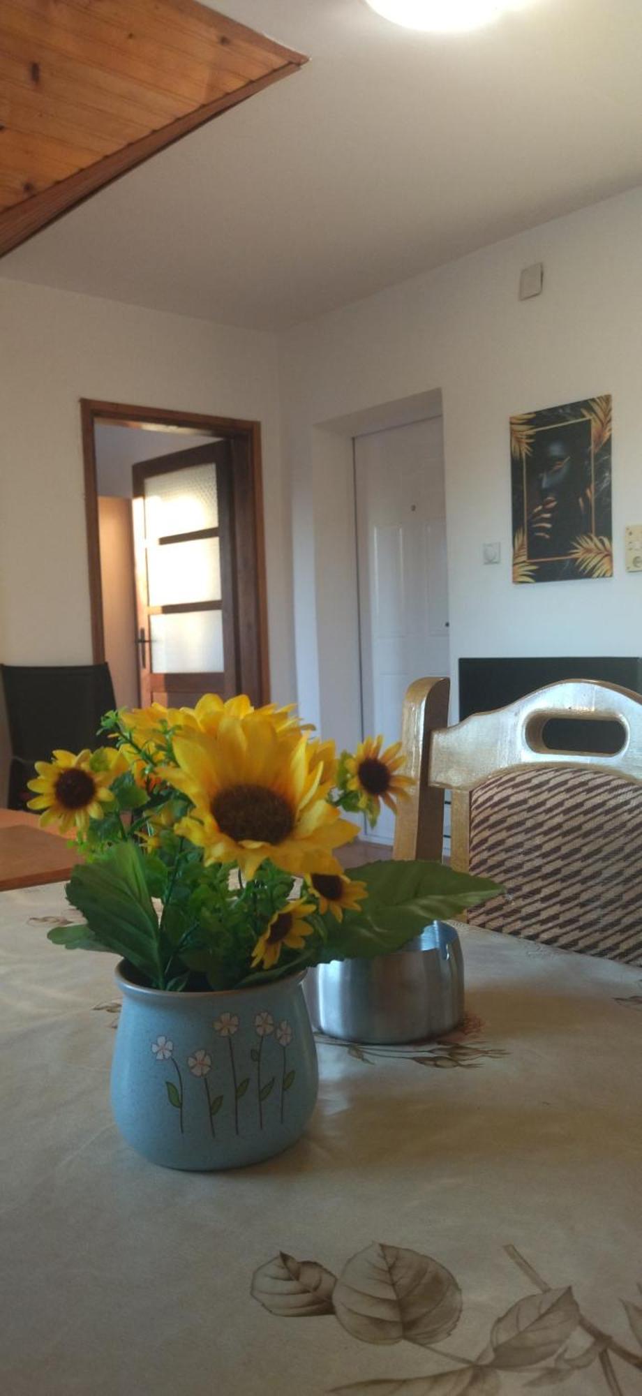 Vila Lenka Sokobanja Pokój zdjęcie