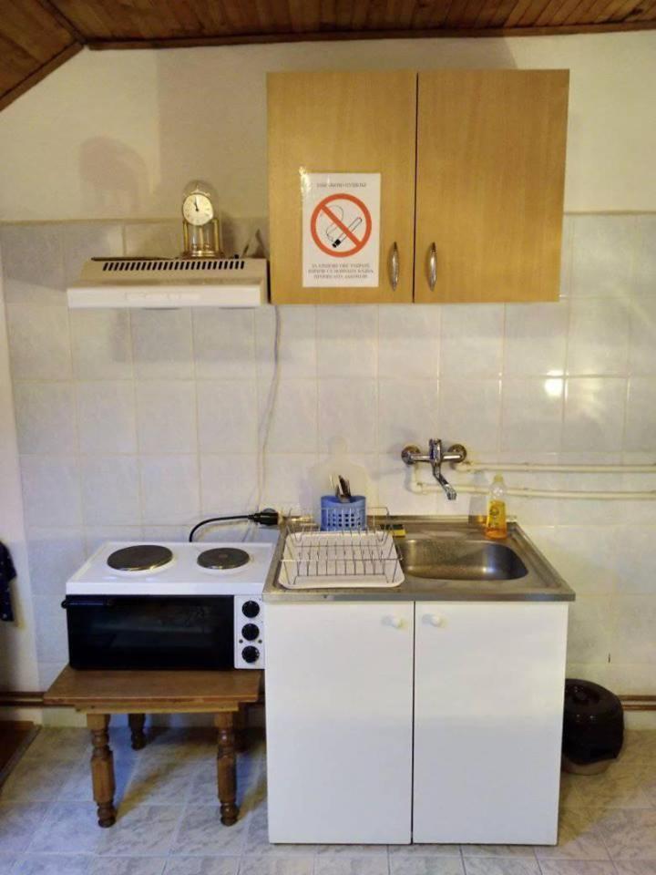 Vila Lenka Sokobanja Zewnętrze zdjęcie