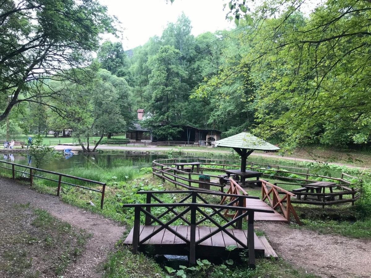 Vila Lenka Sokobanja Zewnętrze zdjęcie